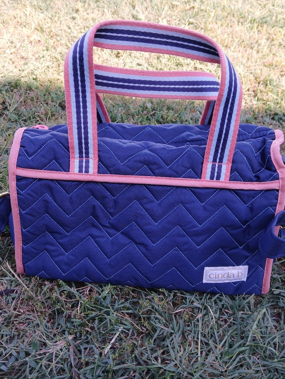 Cinda B satchel